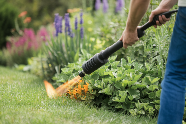 Désherbage Thermique : Avis et Efficacité des Désherbeurs en 2024