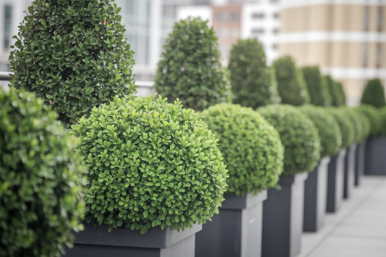 gros-plan-arbustes-verts-pots-balcon